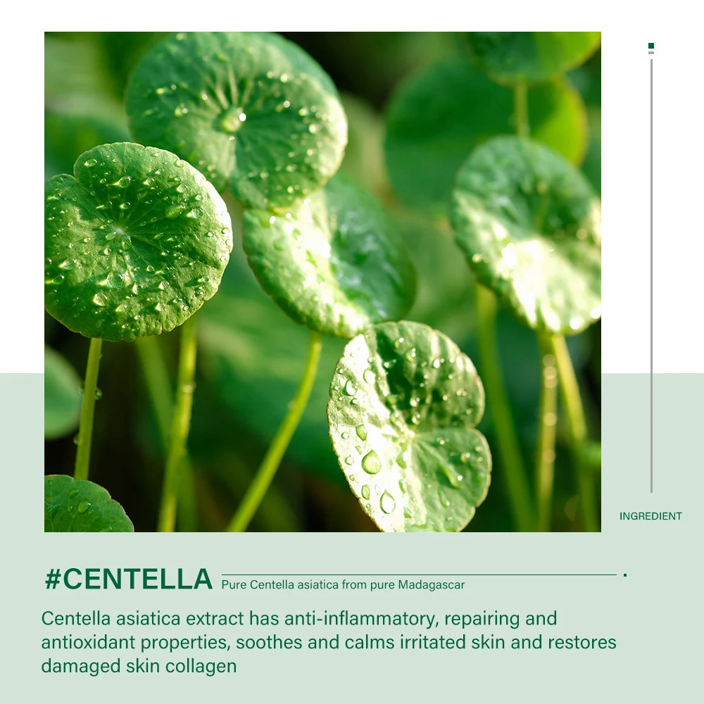 Centella Skincare Set